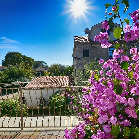 Sonja Σπίτι διακοπών *